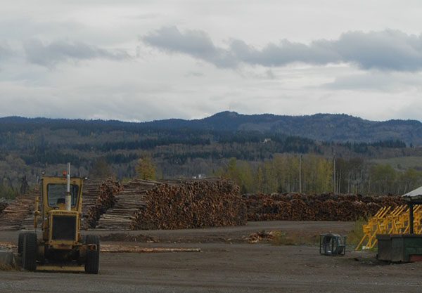 Photograph of large piles of logs and heavy equipment in the foreground.