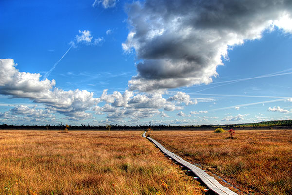 Clouds above the boardwalk in Tuhu, Estonia.