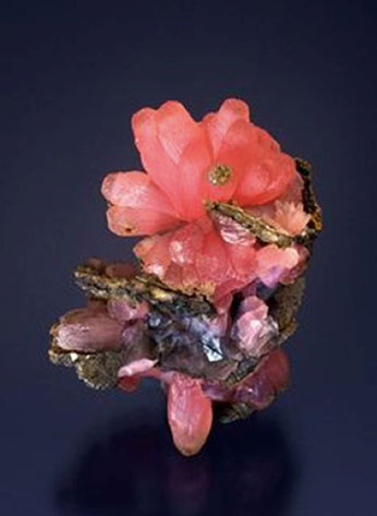 Photograph of red mineral that resembles flowers.