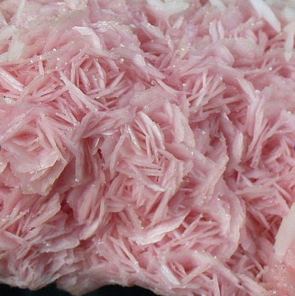 Close up photograph of pink mineral crystals that resemble roses.