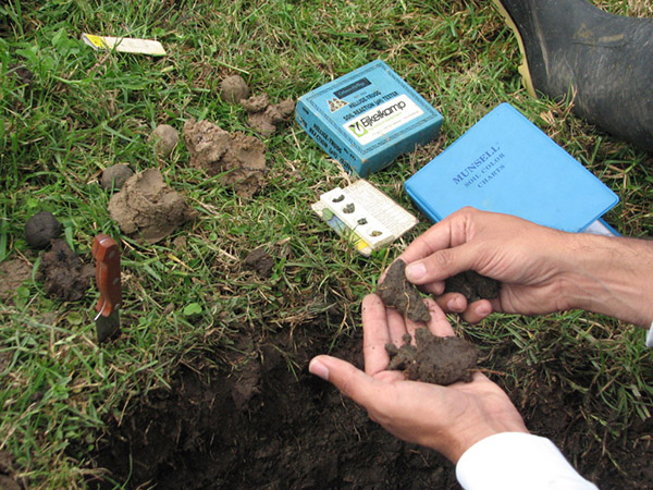 Hands holding soil. There is a hole in the ground and two blue soil color books in the background, one of them is a Munsell book.