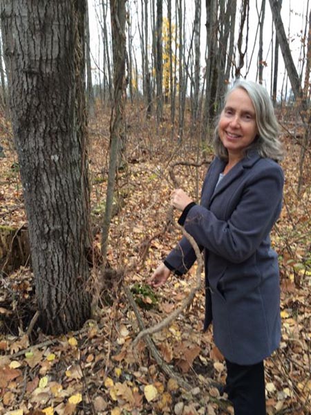 Judy Stone eradicating Asiatic bittersweet. Photo credit: Judy Stone. Stone, a grey-haired woman in a blue coat, stands among tree trunks surrounded by reddish brown leaf litter, holding a brown vine.