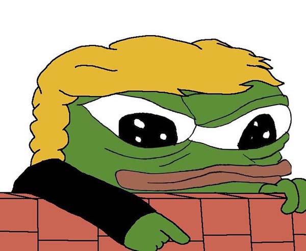 A Pepe the Frog meme: an angry frog that looks like Donald Trump, pointing down from atop a brick wall.