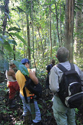 Four men with backpacks stand in the jungle, with two looking up at the trees
