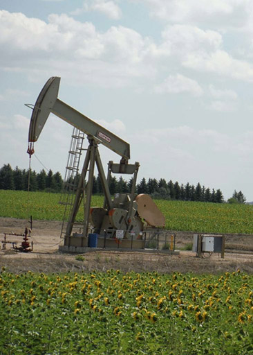Photograph of a oil drilling rig in a field of sunflowers.