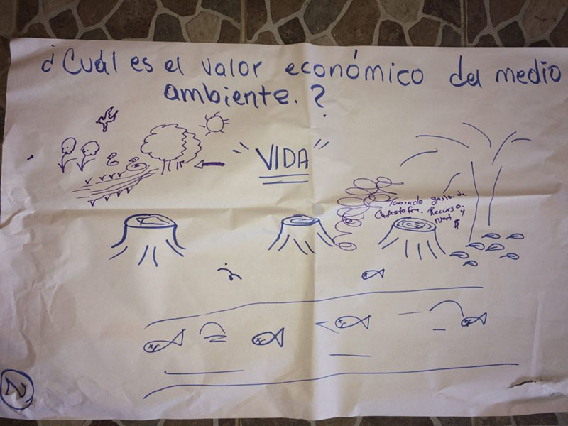 Photograph of a hand drawn image of tree stumps and plants in a river. It says "¿Cual es el valor económico del medio ambiente?" in English "What is the economic value of the environment?"