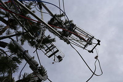 Photograph of equipment covered in fake pine branches.