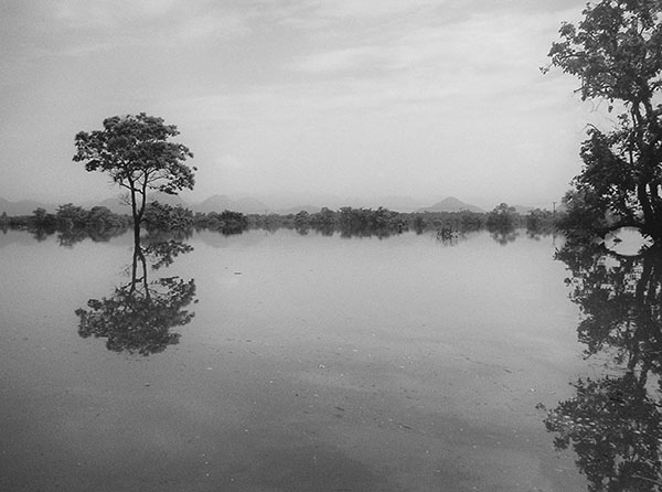 A black and white photograph of a flooded field with trees standing out from the water.