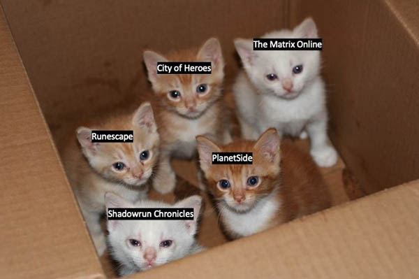Photograph of kittens in a box labelled: The Matrix Online, City of Heroes, Runescape, PlanetSide, Shadowrun Chronicles.