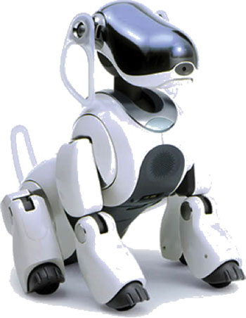 A white robotic dog with black paws, chest, and face.