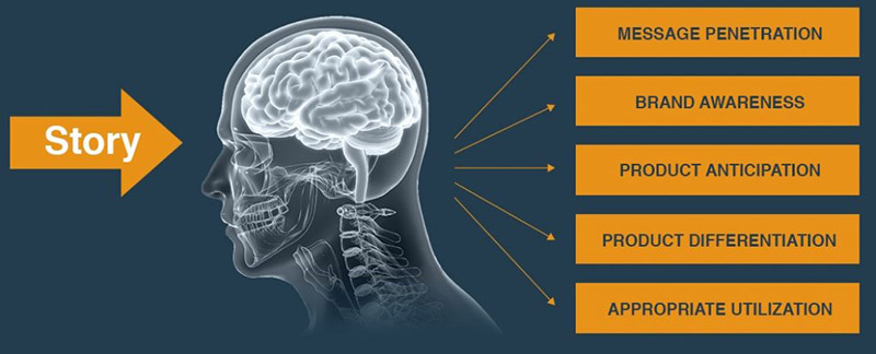 Promotional image from sciencebranding.com demonstrating a focus on converting science into profit. It shows an arrow reading "story" pointing to an xray of a human head. On the other side of the head are lines connecting to rectangles with: message penetration, brand awareness, product anticipation, product differentiation, appropriate utilization.