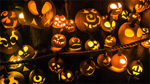 Photograph of many carved pumpkins hanging in a dark space.