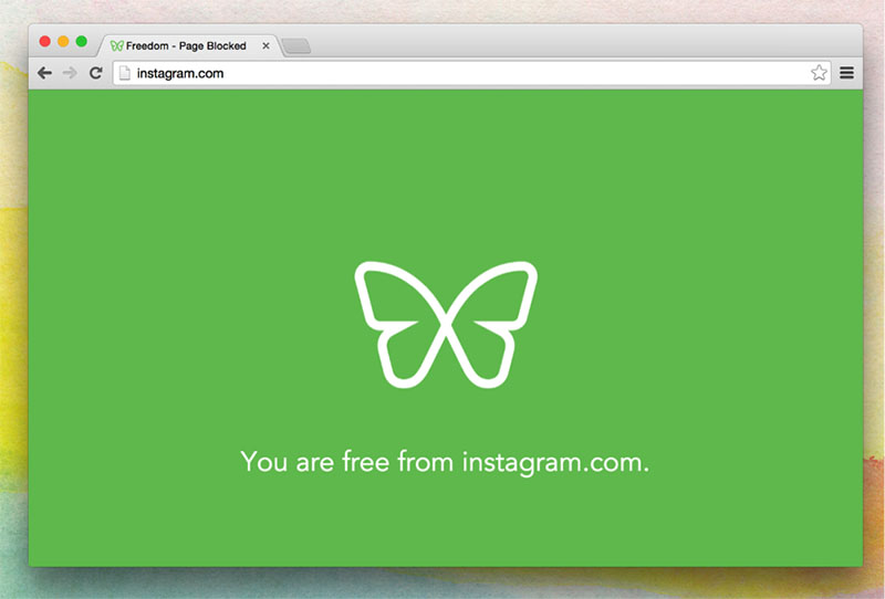 Screenshot of Freedom app blocking Instagram. The window is filled with a green background. A white butterfly icon and the text "You are free from instagram.com." is in the center.