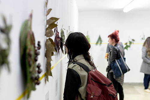 A picture of a woman observing dried plants hanging from a white wall