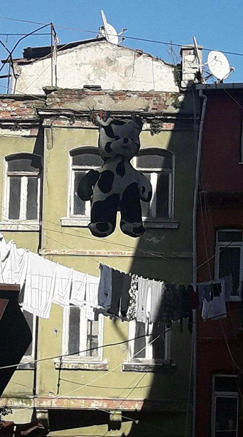 A picture of several clothes lines with clean laundry and a bear suit among them. The bear suit is white with black spots on its paws, chest, and face. At the background, there is a green buildings with seven windows.