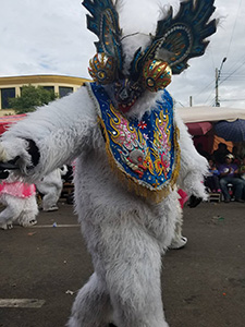 Carnaval dancers in costumes