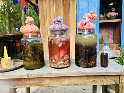 Colorful jars of Khmer Traditional Medicine wine