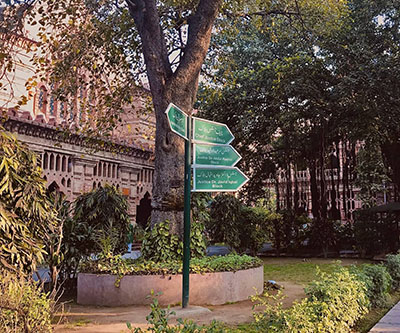 A large tree stands in front a Pakistani court building.