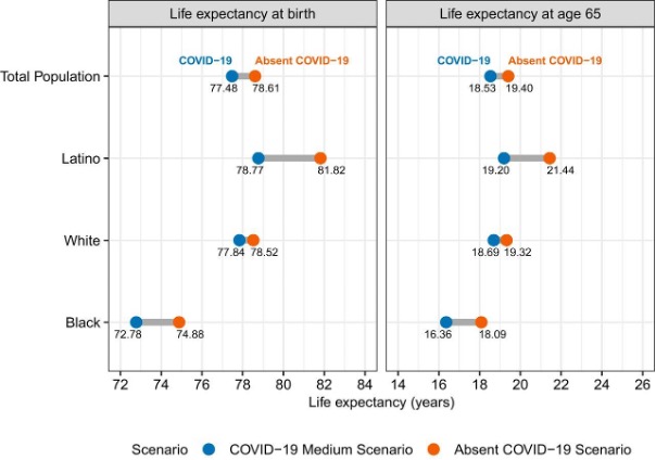 Two tables show life expectancy at birth and life expectancy at age 65. Described in footnote #1. 