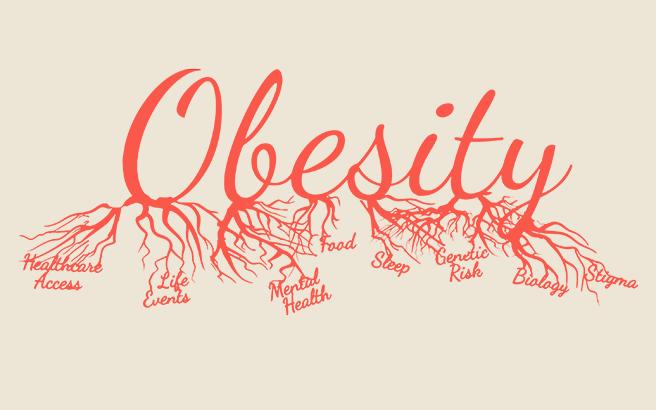 The word Obesity stylized as a system of connected blood vessels. The bottom of each letter from the word ramifies to other words: Healthcare Access, Life Events, Mental health, Food, Sleep, Genetic Risk, Biology, Stigma