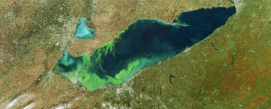 Satellite imagery of Lake Erie. The lake is emerald green, light green, and blue. 