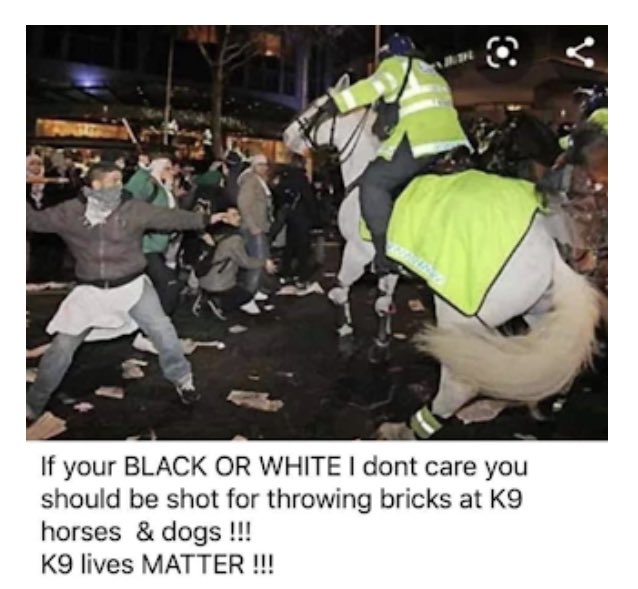 The meme consists of a photograph of a protester about to throw a brick at a police horse and a caption that reads, “If your BLACK OR WHITE I don’t care you should be shot for throwing bricks at K9 horses & dogs !!! K9 lives MATTER !!!”