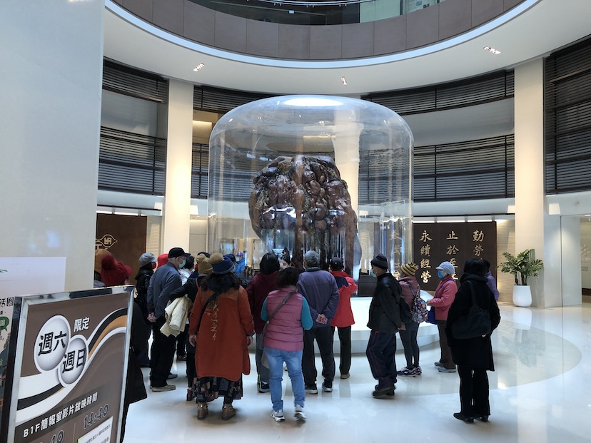 A group of people standing in a circular lobby look upon a large piece of wood that is encased in thick plexiglass.