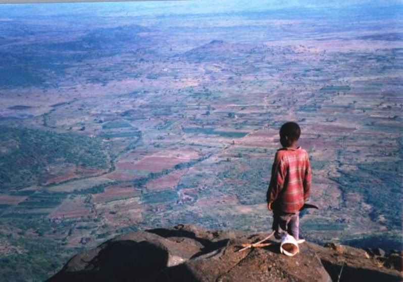 A boy, next to a musical instrument he made, stands upon a cliff and looks out at a mosaic landscape of forest and farmland in green, brown, and blue hues, that lay below and stretches to the horizon.