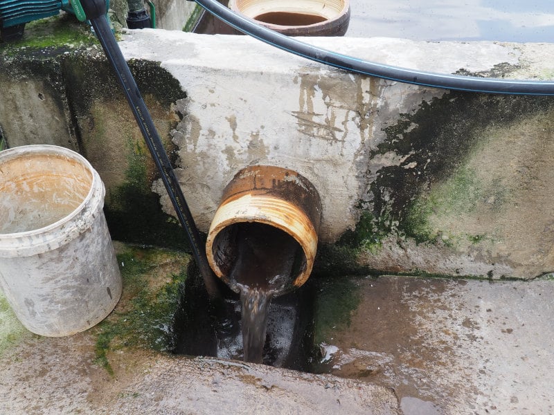  Dirty water and waste comes out of a pig farm’s pipe, entering Kampung Selamat’s river. 