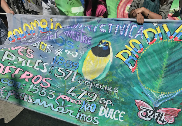 Sign showing a bird during a demonstration