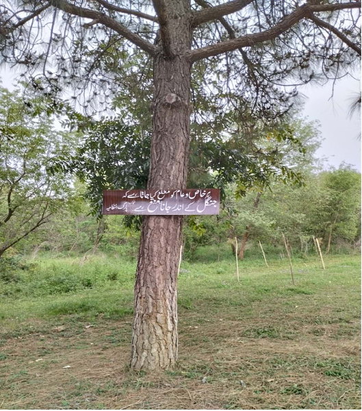 The image shows a brown tree trunk in the center of the frame with a dark brown notice board. There are green trees in the background. The writing on the board is in Urdu.