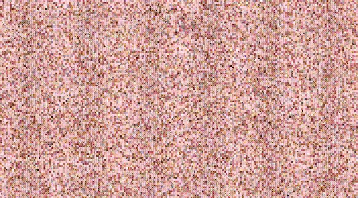 Image composed of several smaller images next to each other representing skin lesions. The skins are all white, with a pinkish hue. The lesions are darker red