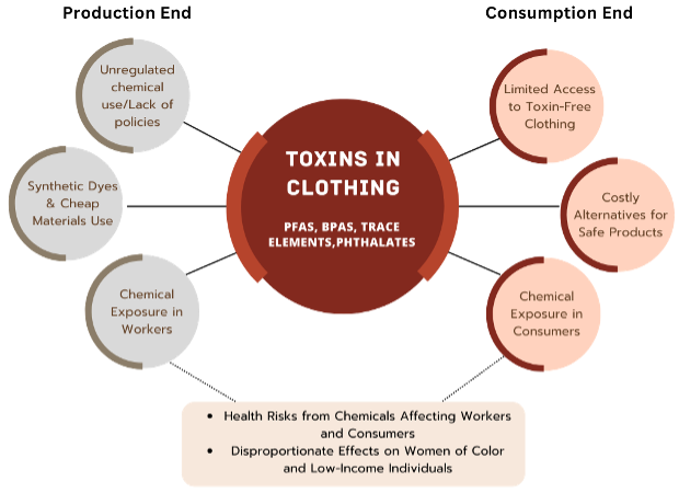 The interaction of toxins on the production end and consumer end of fashion consumption