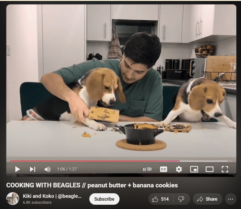 A screenshot of a YouTube video of two beagles sit at the table with their owner centred. The left beagle is being held by their owners as they try to bit into the pie being prepared. The beagle on the right similarly tries to eat ingredients on the table, but struggles to reach.