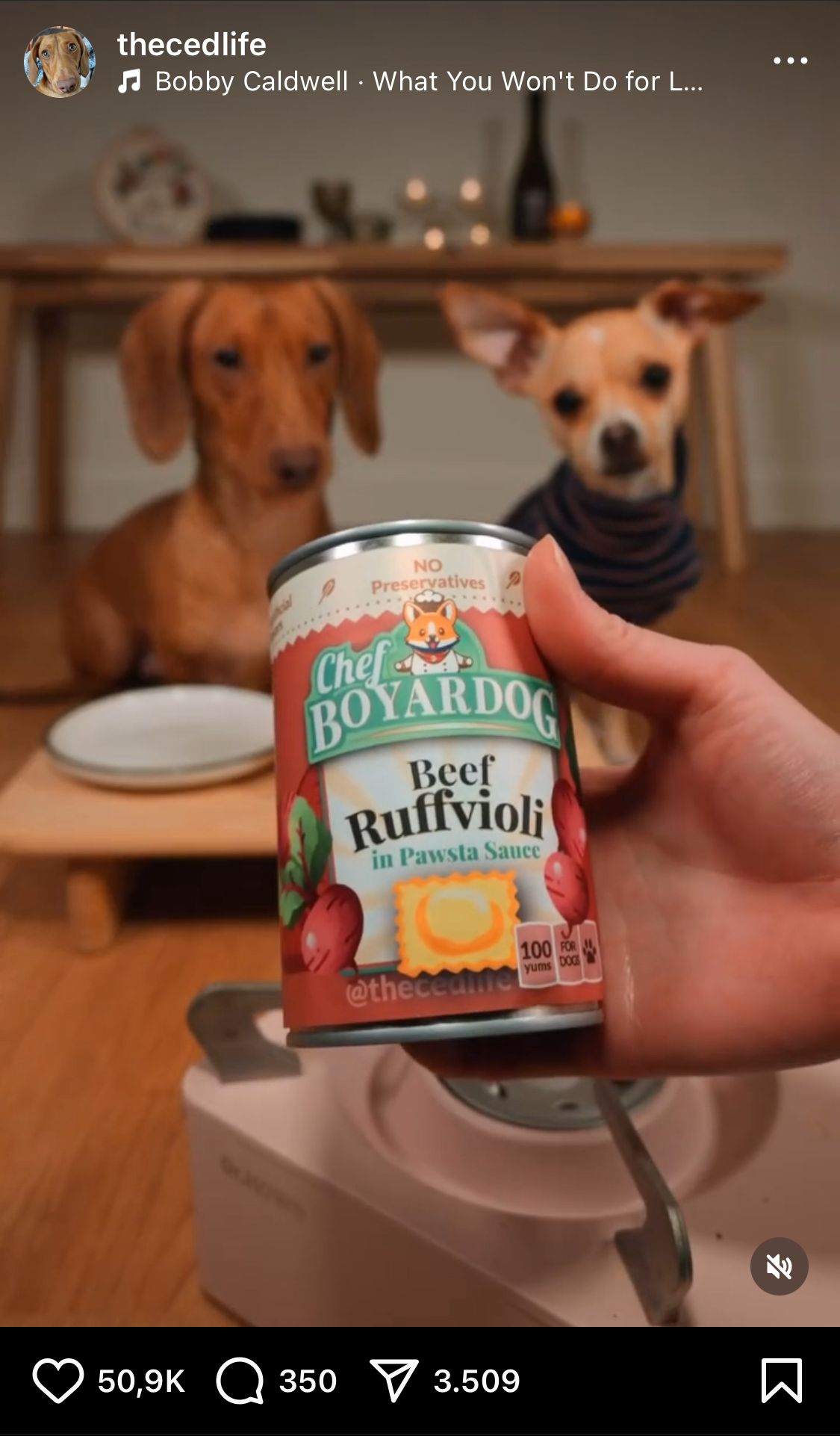 A screenshot of the instagram page "@thecedlife" shows two dogs looking longly in the background towards can of "Chef Boyardog Ruffvioli"