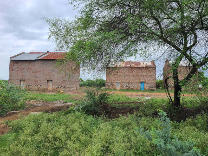 Three large brown brick buildings are standing in the background. We see green vegetation and a tree in the front. 