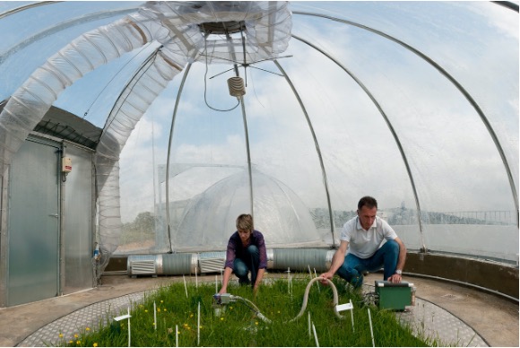 A woman and man, scientists, kneel by a patch of grass inside a tall, greenhouse-like dome.