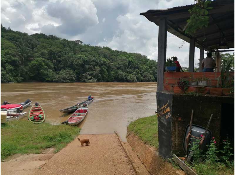 In the image, in the foreground, there is a house on the right with two people on the second floor. In the center, a dog stands by the riverbank, and on the left, there is a small grassy area. In the middle of the image, a wide river separates the foreground from the horizon, where dense vegetation of a typically Colombian forest can be seen.