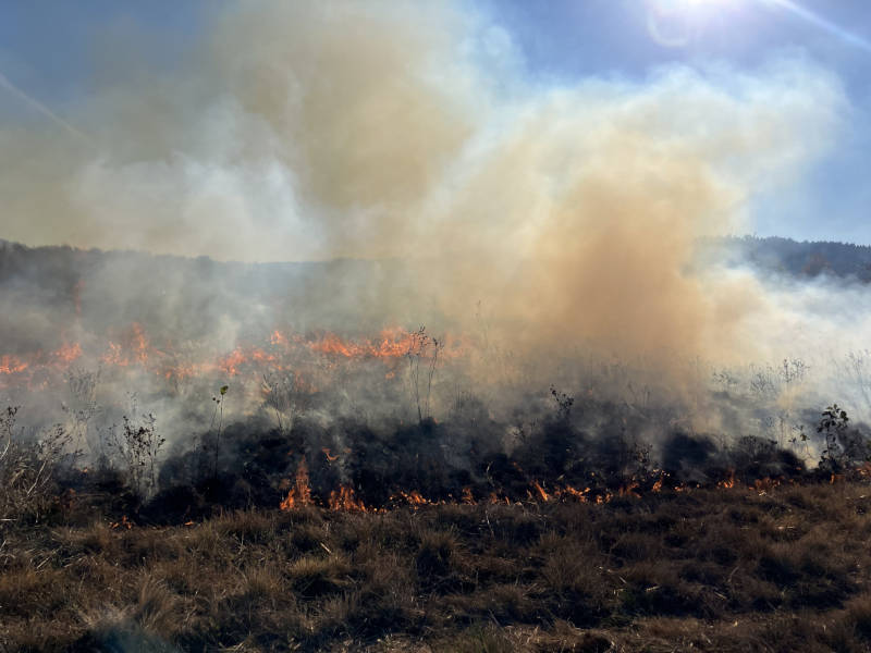 Fire and smoke on a grassy plain.