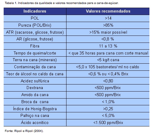 A table displaying various metrics of sugarcane productivity in Portuguese.