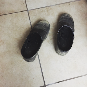 Shoes with landfill dirt in LA