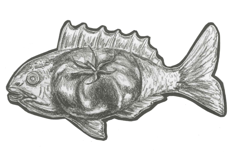 The image shows a pencil sketch of a fish with a tomato inside.