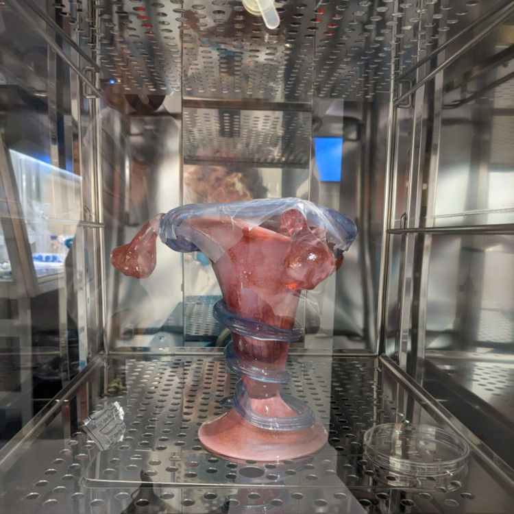 The image shows an artistic and scientific project, with an object in the center in the shape of a uterus surrounded by parts of blue resin.