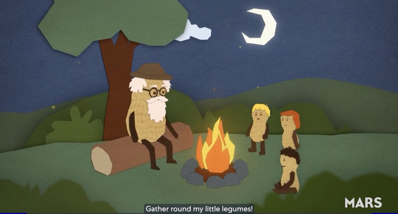 An animated peanut with a bowler hat and a white beard sits on one side of a campfire, opposite three smaller peanuts grinning back at him adoringly. Amid the chirping crickets and the crackling of the fire, the older peanut calls out: “Gather round my little legumes, it's story time!”