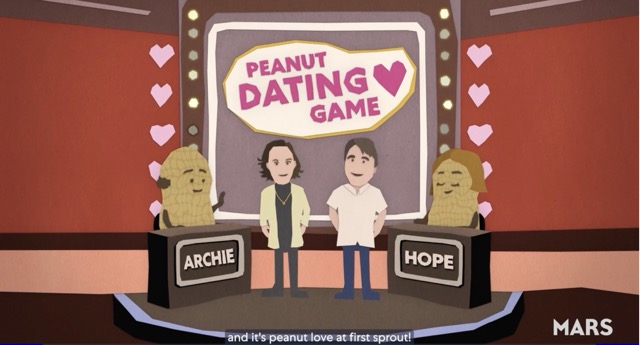 The Peanut Dating game show, where animated Drs. Bertioli stand between two tables, one with a balding peanut labeld "Archie" on the left and one with a peanut with a brown bobbed haircut on the right labeled "Hope." Underneath the image is the text: "and it’s peanut love at first sprout!” 