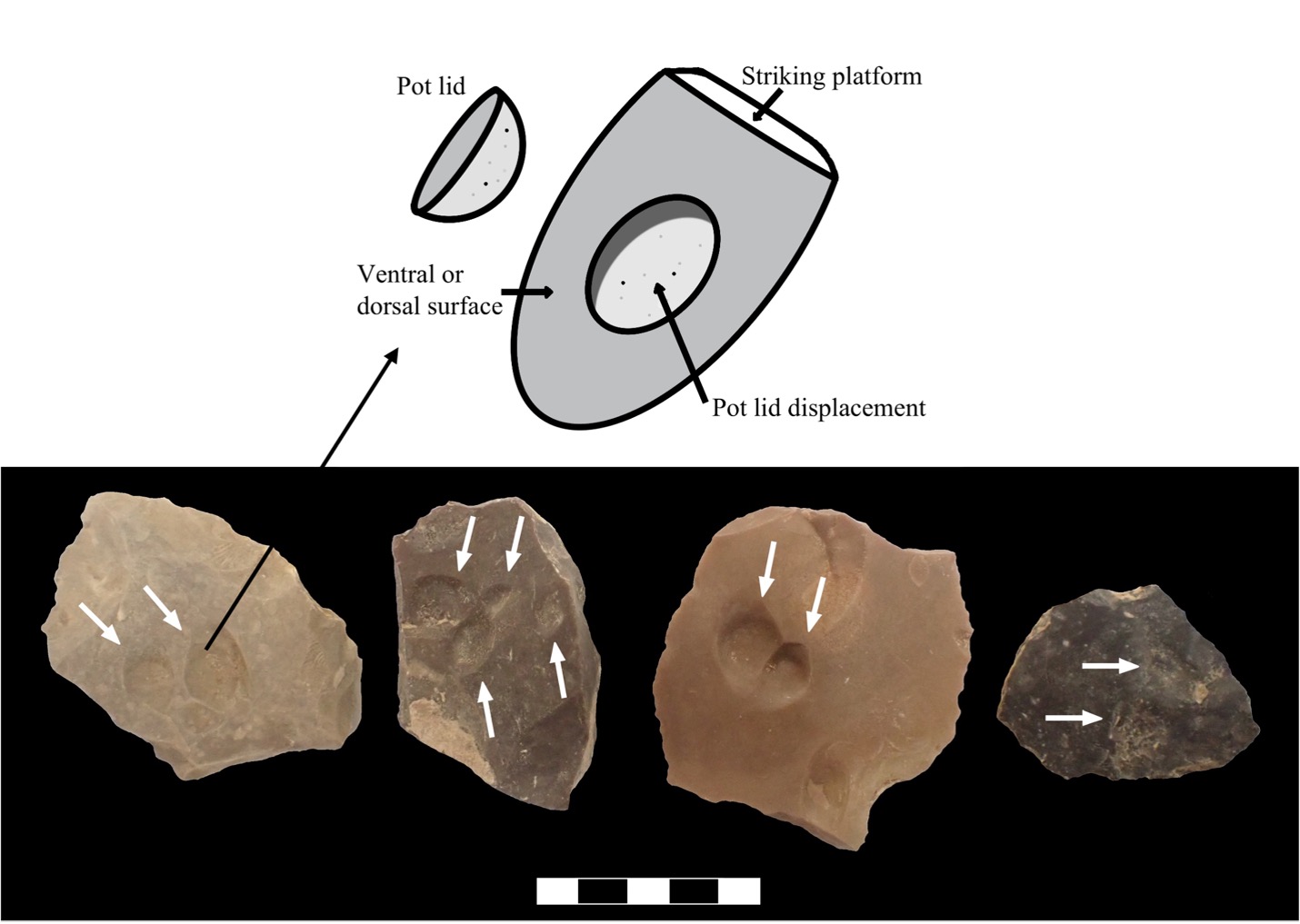 An image of flint flakes describing the different features characterizing flint artifacts for starting fires. Followed by a photo of four flint artifacts showing these features.