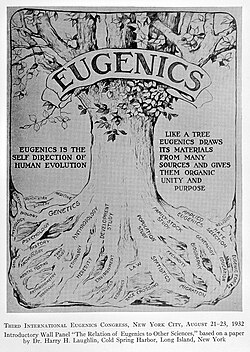 Black-and-white diagram from the 1932 Third International Eugenics Congress depicting eugenics as a tree connected to disciplines such as genetics, psychology, medicine, statistics, and education.