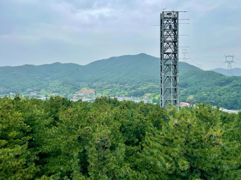 A landscape with a foregrounded forest and background mountains covered in forests.