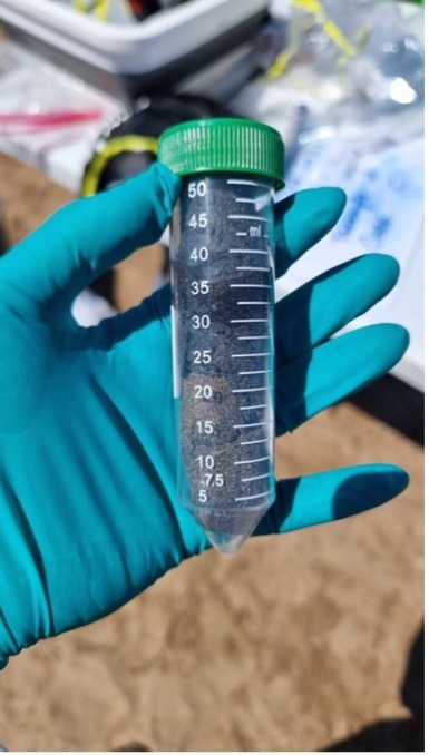 Hand in green gloves holding a tube with soil sample.