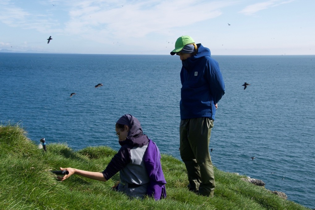 The picture shows a woman sitting in the grass and a man standing with his hands behind his back, looking in the same direction, towards a burrow. She is holding a plastic pole stuck in the grass. The sea is in the background, and puffins are flying around.